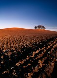blue colour, warm colours, ploughed field, brechin, angus, scotland, farm landscape