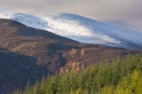 first, snows, autumn, hills, habitat, colour, mountainous landscape, forestry, upland, mountains, snow covered