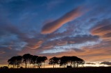 angus, scotland, sunset, spectacular, colours, clouds, warm, lenticular clouds, clouds, blue