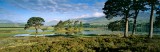 beautiful, spring, stunning scenery, loch, loch tulla, caledonian, pines, argyll, scotland, scottish midges