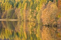Loch Faskally Reflections