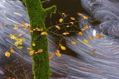 Autumn Passage, River Braan