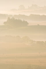 Misty Farm Landscape No.1