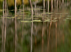 Uath Lochan Reflection