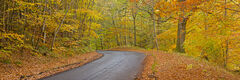 Autumn Road