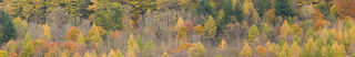 Autumn Panorama
