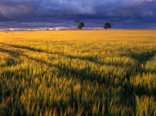 Gathering Storm