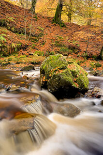 Urlar Burn in Autumn No.2