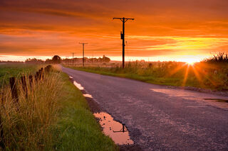 Golden Road Sunrise