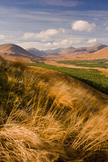 Autumn Glen