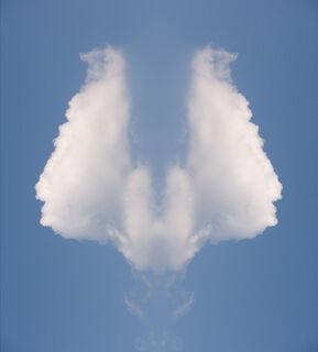 Heads in the Clouds