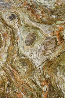 Fluidity