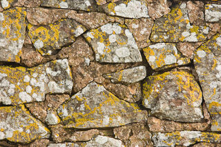 Lichen Covered Stone Wall