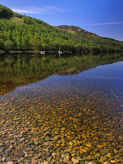 Spring Reflections