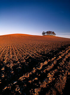 Ploughed