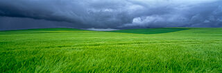 Approaching Storm