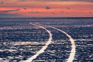 Road To Nowwhere
