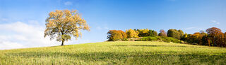 Approaching Autumn