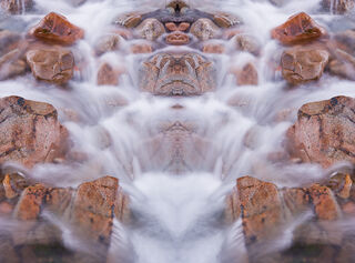 Cascade