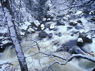 Winter Stream Dream