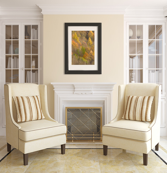 living-room, framed, print, artwork, photo