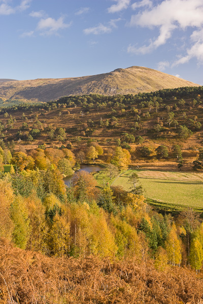 autumn tints, lyon, scotland, u-shaped, valley, glen, birch, scots pine, vibrant, colours, yellow, orange, perthshire, photo