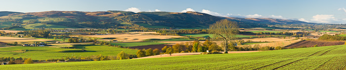 fetile, land, hills, strathearn, agricultural, autumn, colour, vibrant, perthshire, scotland, photo