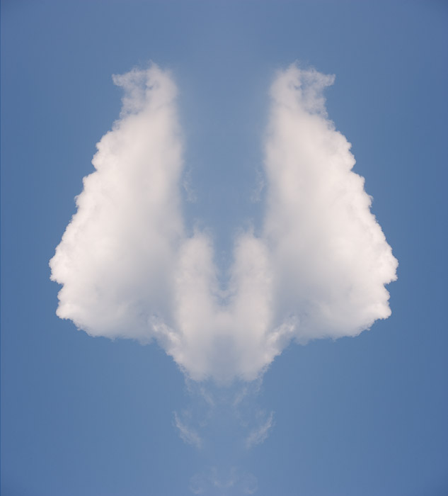 abstract, image, heads, clouds, angus, scotland, photo