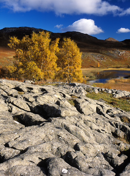 beautiful scenery, quality, light, composition, limestone pavement, hills, peak, autumnal, trees, perthshire, scotland, photo