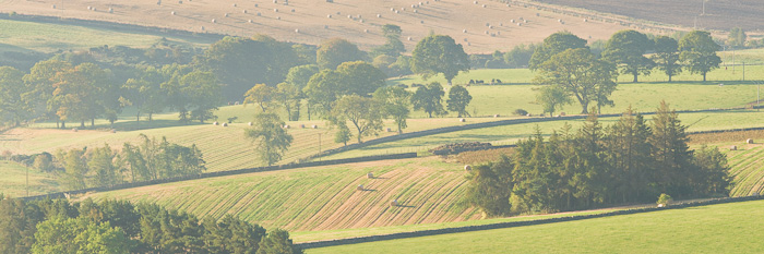 rolling, farm landscape. harvest, tints, pastoral, calmness, countryside, photo