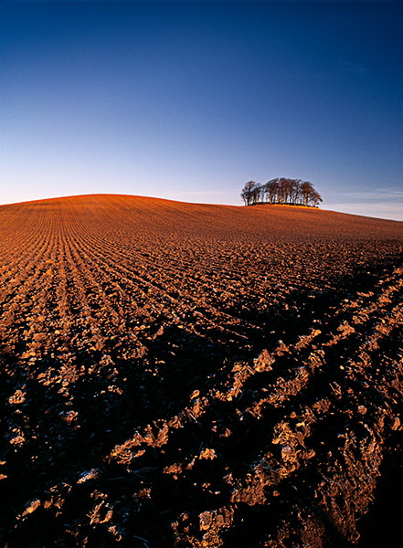 blue colour, warm colours, ploughed field, brechin, angus, scotland, farm landscape, photo