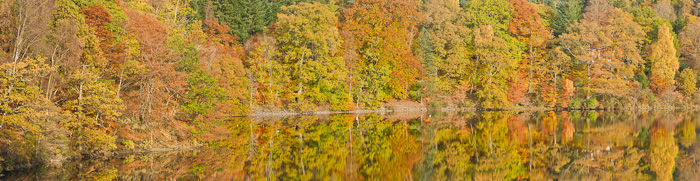 autumn, perthshire, scotland, pitlochry, reflection, perfection, trees, calm, loch, photo