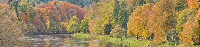 autumn colour explosion, river, tay, river landscape, panoramic landscape photography, scotland, perthshire, dunkeld, photo