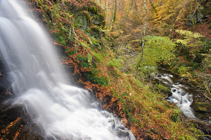 woodland, streams, hillside, autumn, waterfalls, scale, landscape, photo, photo