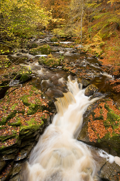 The stream is shown here just before it tumble over the Falls of Moness. The area is known as the Birks of Aberfeldy, after a...