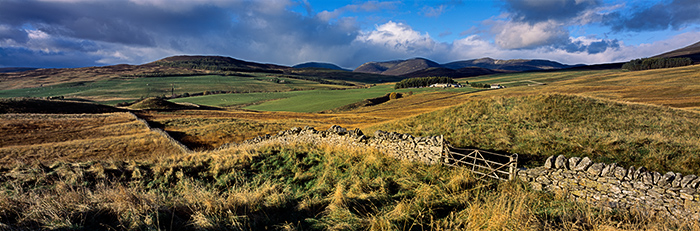 The upland areas of Perthshire are home to a great number of hill farms. They specialise in cattle and sheep farming on the marginal...