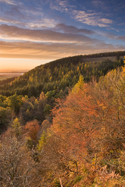 Taken moments before &quot;Perfection&quot;, the rising sun has just clipped the autumn tree tops making them glow. The full...