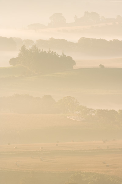 Early Autumn and the harvest is complete. Temperatures slowly rise as the sun starts to burn off the overnight mist. The combination...