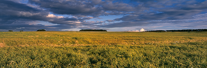 Normally photographed when in dazzling yellow full bloom, rape crops can still make an interesting subject even after flowering...