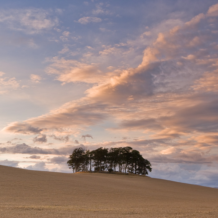 For me, this image sums up what a beautiful landscape photograph should strive to attain. The individual components and composition...